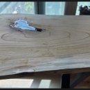 삶에 자연을 채우다 이미지