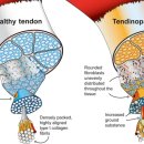 스마일한의원 이미지