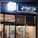 천안고양이 분양 퍼스트캣 본점 이미지