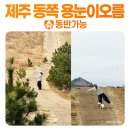 용눈이오름 주차장 이미지