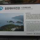 흑산도 일주도로 Daum카페