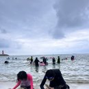 파니퍼니홈 이미지