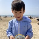 인메이 Daum카페