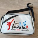 한국체대 호림태권도장 이미지