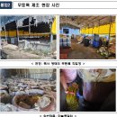절임식품 이미지
