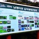 남생이못 습지생태 관찰원 이미지
