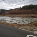 김진현농장 네이버블로그