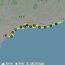 쇠소깍 천일펜션 이미지