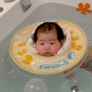 베이비엔젤스