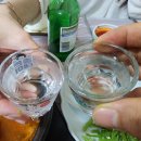 구암현대아파트 | 마산 구암동 횟집, 마산 구암동 현대시장 맛집 자연횟집에서 싱싱한 회 맛보고 왔어요