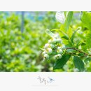 최성기농장 이미지