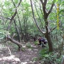 고창 방장산 산행기 이미지