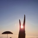 좋은날 대게 회 이미지