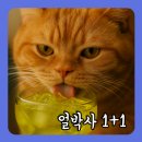 지에스25(GS25) 을지로3가역점 이미지