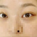 모블리스튜디오