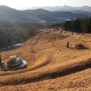 진벌1리 마을회관 이미지