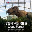 이스트사운드스튜디오 | 싱가포르 공룡 있는 식물원 가든스바이더베이 클라우드포레스트 NOL 입장