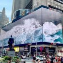 타임스퀘어 이미지