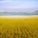 김동주농장 이미지