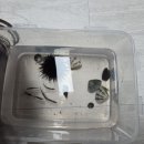 블루펄리조트 이미지