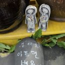 아미뜰한옥향기 방문후기