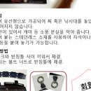 알엔피싱
