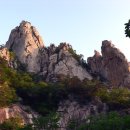 화 농장 이미지