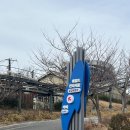 애림산업 | [울산 가볼만한곳] 레트로 감성이 살아있는 장생포 고래문화마을 옛마을 이야기 방문 후기
