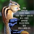 속보 이미지