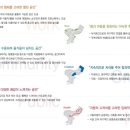 소울랜드스케이프주