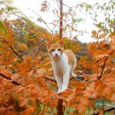 노랑노랑 이미지