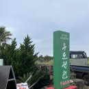 야자수정원 | [제주 우도 가볼만한 곳] 커다란 야자수가 있었던 “우도정원” (입장료, 솔직후기 등)