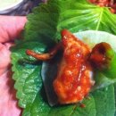 독도쭈꾸미 이미지