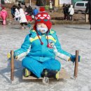 용인대 제일 태권도장 이미지