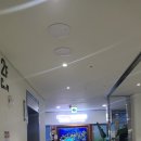 아쿠아펫 카페수족관 이미지