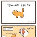 🐱 고양이만화 🐈 이미지