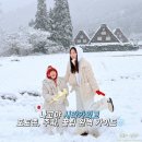 유한회사풍경크린 | 나고야 시라카와고 포토존, 주차, 라이트업, 방문 꿀팁 완벽 가이드