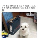 나에게는 10시 30분 쯤에 찾아오는 잠의 요정이 있다 이미지