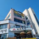 안심제1소교량 | 삼척 오롯이: 바다뷰 맛집! 인생 안심카츠, 치즈카츠 &amp; 베이컨까르보나라 후기!