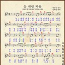 [1993년 제11회 MBC 창작동요제] 눈 내린 마을 (박수진 작사, 김애경 작곡) - 이빛나 이미지