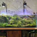 뷰띠크 호텔 이틀(Boutique HOTEL 이틀) | 광주호텔 추천 어썸부티끄호텔 VIP테라스스파 후기•광주파티룸추천 광주숙소 호캉스 추천