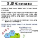 주식회사 버박코리아 이미지