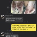 성남다온동물병원 이미지