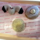 논골담길3 | [강원도 동해 묵호] 논골담길 바람의 언덕 오션뷰카페, 말똥도나스