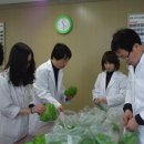 한국인성교육센터 이미지
