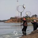 ♧ 해남 울돌목 뜰채 숭어잡이 '손맛 최고'♧ 이미지