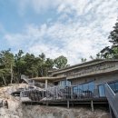 라드라비 이미지