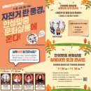 안성맞춤 문화살롱 이미지