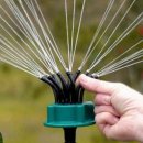 정원2농장 이미지