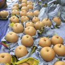 미건농장 이미지